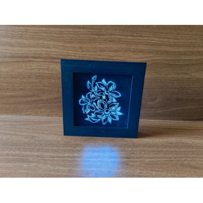 Shadow Box